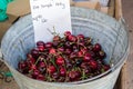 A metal zinc bucket full of red cherries at a farmers market. Royalty Free Stock Photo