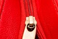 Metal zipper on intense red leather jacket or purse detail close up macro. The zipper is partly open and binding together layers