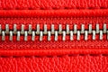 Metal zipper on intense red leather jacket or purse detail close up macro. The zipper is tightly closed