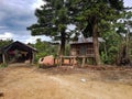 Metall barake house earth brown tree village mountain hill chiang mai Thailand