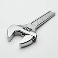 A metallic adjustable wrench with a polished, shiny surface. The tool features