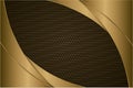 Metallic background.Luxury of gold with carbon fiber texture.Golden metal modern design Royalty Free Stock Photo