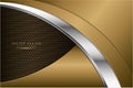 Metallic background.Luxury of gold and silver with carbon fiber texture.Arrow shape golden metal modern design Royalty Free Stock Photo