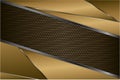 Metallic background.Luxury of gold and silver with carbon fiber texture.Golden metal modern design. Royalty Free Stock Photo