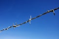 Metallic barbed wire on blue sky background. Freedom and imprisonment concept. Sunny blue sky and steel barb wire fence. Royalty Free Stock Photo