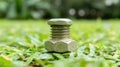 A metallic bolt with a hexagonal head and threaded shaft rests on a bed of green grass. Royalty Free Stock Photo