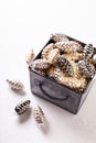 Metallic box with glass gold, black, silver decorative cones