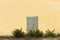 A metallic box in a yellow wall near a plant Italy, Europe