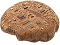 Metallic brain with copper toned circuitry embedded in its surface representing neural engineering advanced cognitive technolog
