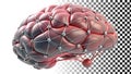 Metallic brain sculpture, anatomical art, futuristic mind design png transparent image Generative AI