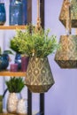 Metallic bronze hanging flower pot with decorative flower.