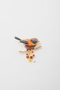 Metallic brooch in shape of brown bird sitting on branch with berries, pin on white background, bijouterie, jewelry close up Royalty Free Stock Photo