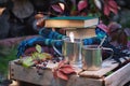 Metallic cups, books and plaids