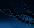 Metallic DNA strands in the dark blue background Royalty Free Stock Photo