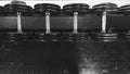 Metallic dumbbell in black and white in a row Royalty Free Stock Photo