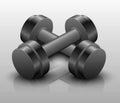 Metallic dumbbell workouts icons on white background