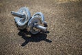 Metallic dumbbells lying on stadium background. Sport, workout, fitness, healthy way of life, physical exercise, training Royalty Free Stock Photo