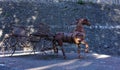 Metallic Float and horse