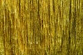 Metallic gold foil tinsel fringe decoration curtain. Birthday, wedding, Christmas, New Year party decoration background Royalty Free Stock Photo