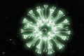 Metallic Green Coronavirus 