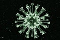 Metallic Green Coronavirus Seen Under Electron Microscope 