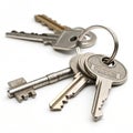 Metallic keys on a keyring isolated on white background