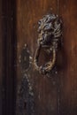 Metallic lion door knocker on old wooden door