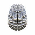 Metallic model of human brain Royalty Free Stock Photo