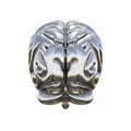 Metallic model of human brain Royalty Free Stock Photo