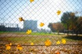 Metallic net-shaped fence from wire with autumn leaf stucked in it on a background of blur city Royalty Free Stock Photo