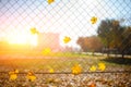 Metallic net-shaped fence from wire with autumn leaf stucked in it on a background of blur city Royalty Free Stock Photo
