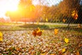 Metallic net-shaped fence from wire with autumn leaf stucked in it on a background of blur city Royalty Free Stock Photo