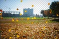 Metallic net-shaped fence from wire with autumn leaf stucked in it on a background of blur city Royalty Free Stock Photo