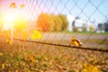 Metallic net-shaped fence from wire with autumn leaf stucked in it on a background of blur city Royalty Free Stock Photo