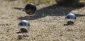 Metallic petanque three balls and a small wood jack