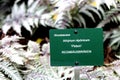 Metallic plant marker for Athyrium niponicum Royalty Free Stock Photo