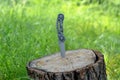 Metallic pocket knife close up.