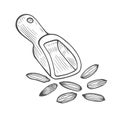 Metallic scoop and seeds