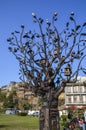 Metallic sculpture Tree of Life in Rike park. Tbilisi, Georgia