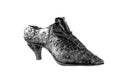 Metallic shoes Royalty Free Stock Photo
