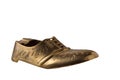 Metallic shoes Royalty Free Stock Photo