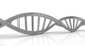 Metallic Silver DNA Double Helix Model on White Background molecule genetics Royalty Free Stock Photo