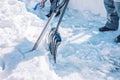 Metallic snow shovels are stuck in a white snowbank. A family is cleaning their yard in winter. Cold sunny day, outdoor activity, Royalty Free Stock Photo