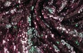 Metallic sparkling sequins scales background, round sequins in fashion dress