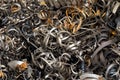 Metallic Steel Cuttings Royalty Free Stock Photo