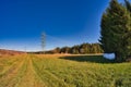 Metallic transmission line in the middle of a field surrounded by trees.