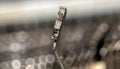 Typebar of a typewriter Royalty Free Stock Photo