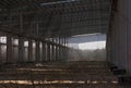 Abandoned and neglected industrial hall