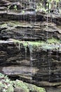 Metamorphic gray rock with trickling water and moss II Royalty Free Stock Photo