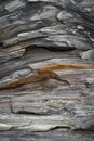 Metamorphic Rock Details